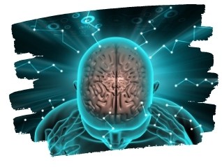 Neuromarketing and the brain