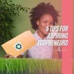 5 Tips for Aspiring Ecopreneurs blog post